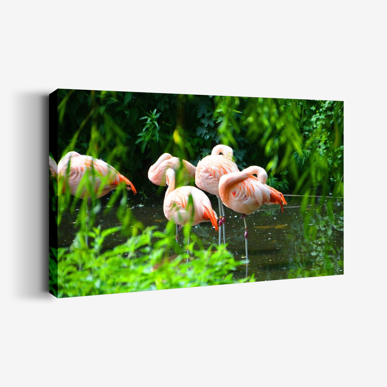 Flamingo Sürüsü Tablo