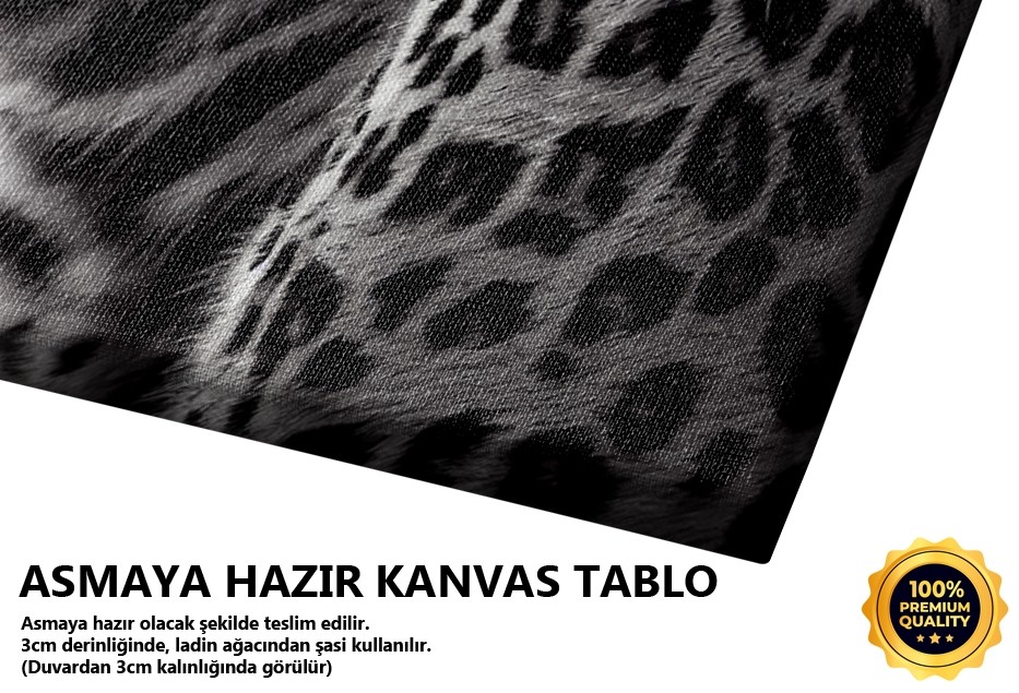 Leopar Yakın Plan