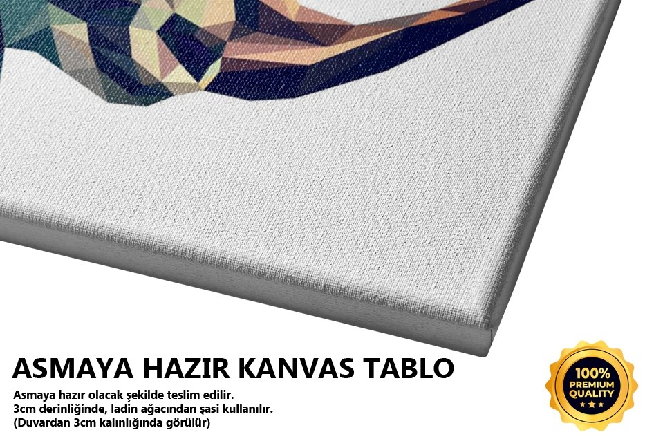 Oğlak Geometrik Tablo