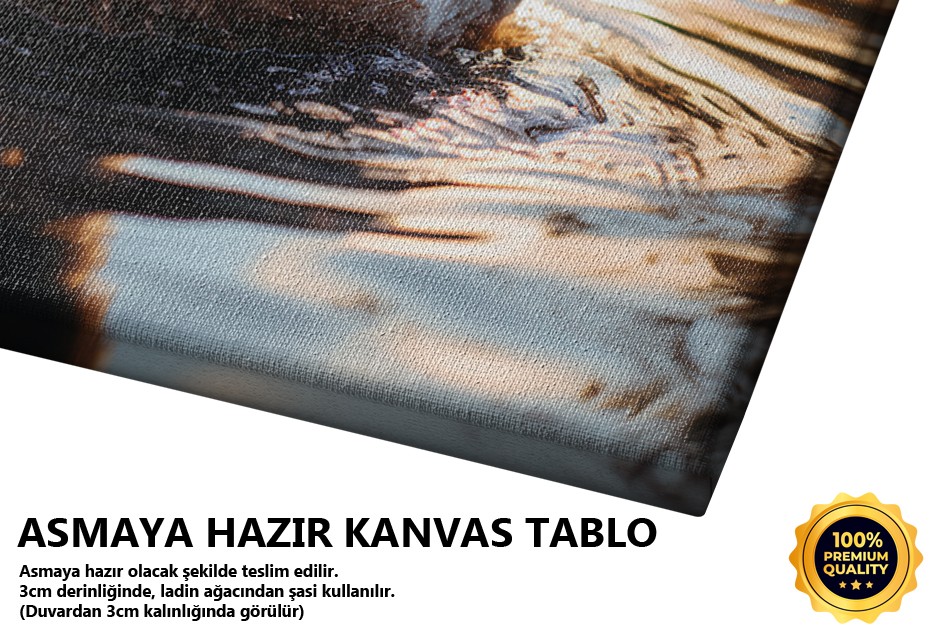 Gölde Yüzen Civciv
