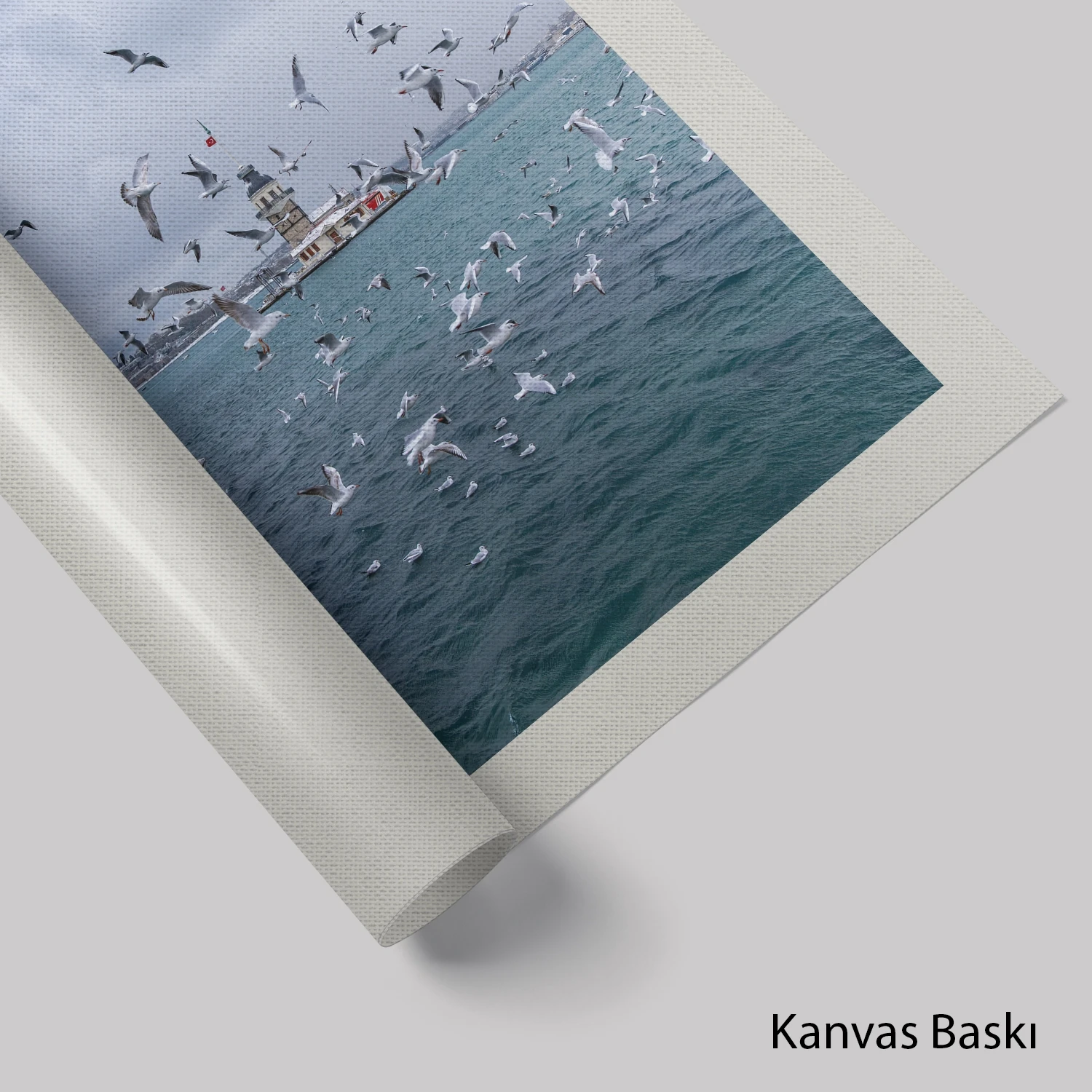 Martılar ve Kız Kulesi