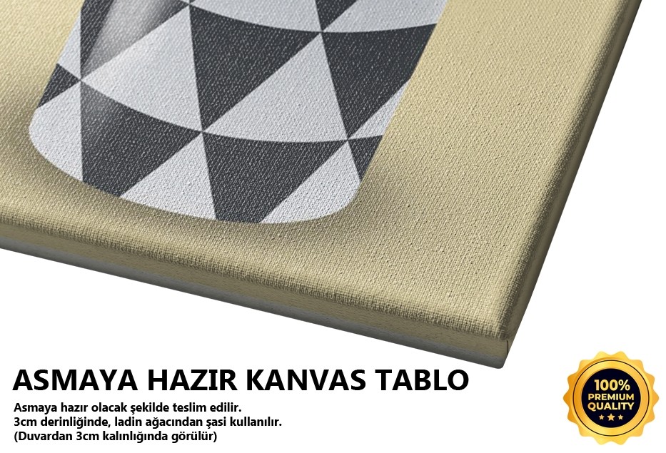 Kaktüs Somon Tablo