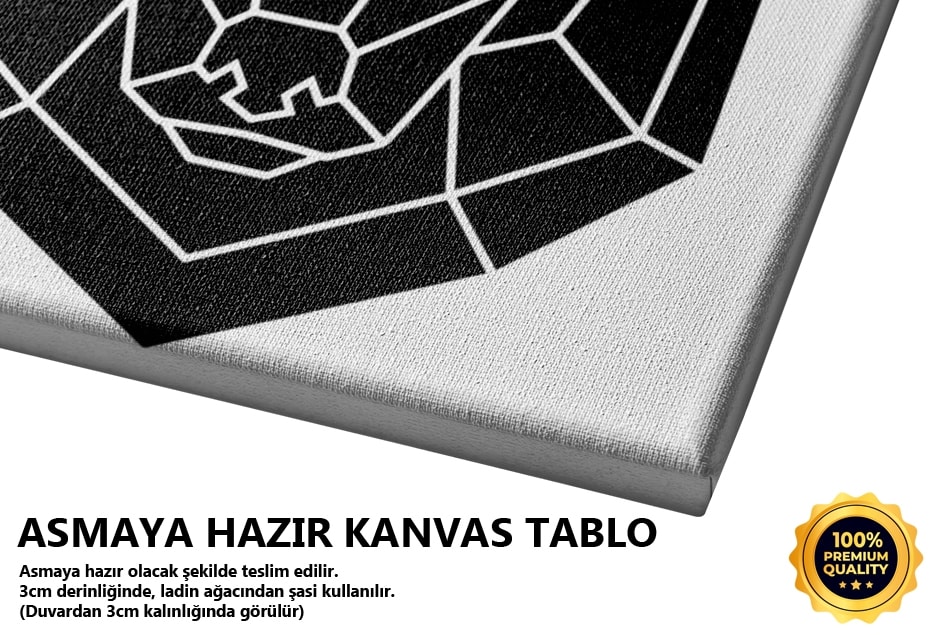 Ayı Geometrik 1 Tablo