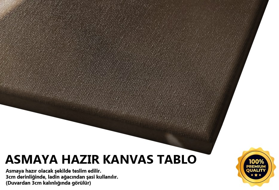 İstanbul Lalesi 2 Tablo