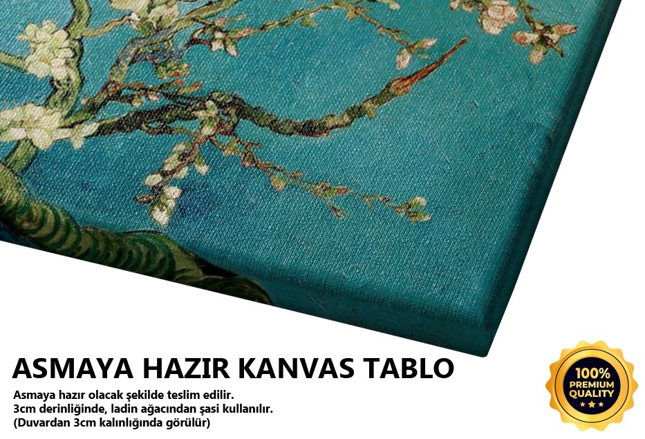 Çiçek Açmış Ağaç, Badem Çiçekleri Tablo