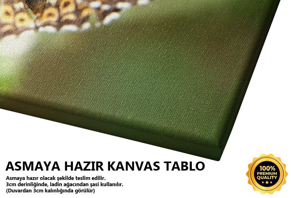 İlk Gün Hatırası -2007 Tablo