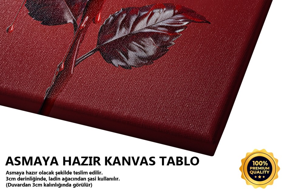 Kırmızı Gül Çiçeği