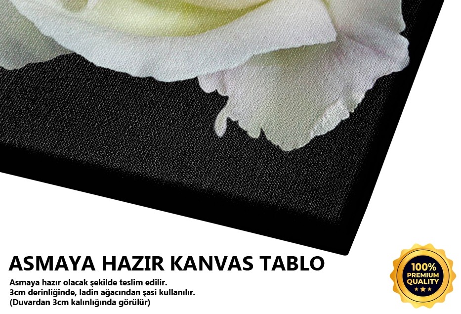Gül Tablo
