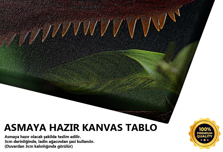 Yakın Plan Yeşil Bukalemun