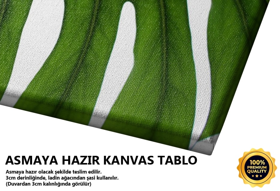 Kesit Monstera Tablo