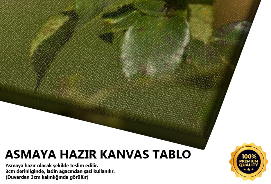 Ateş Tablo