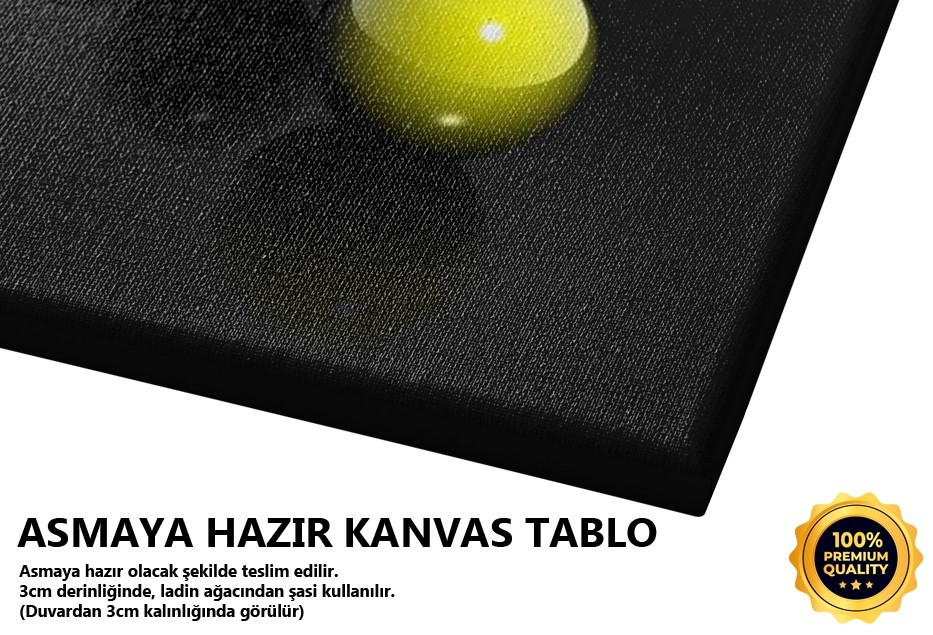 Renkli Metal Toplar Tablo