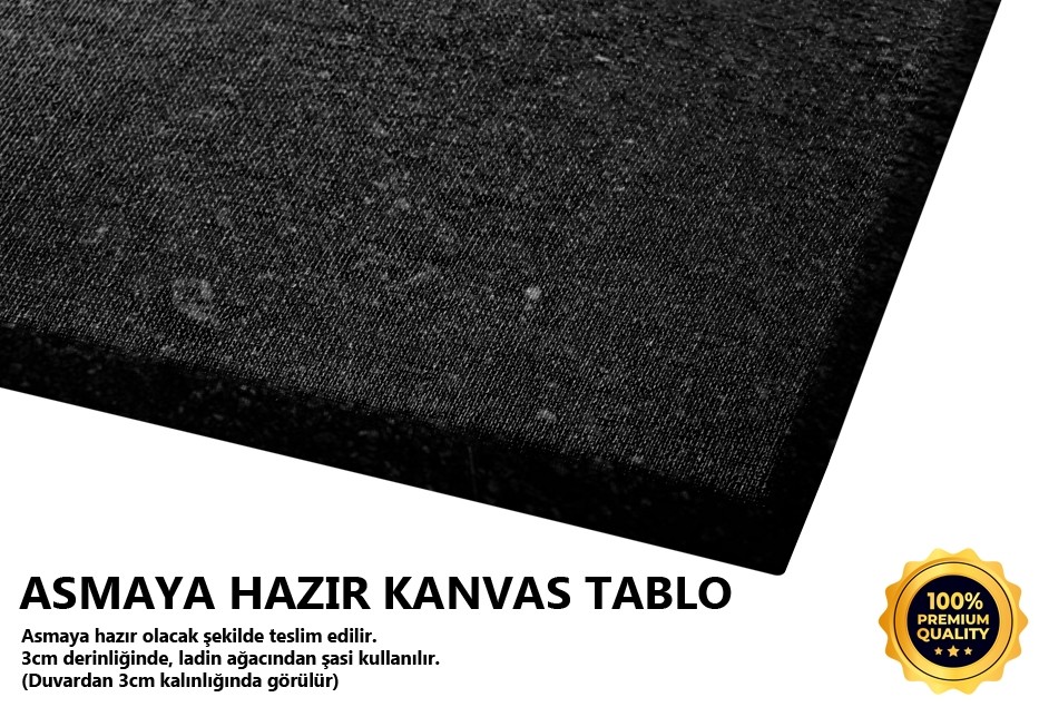 Yanlız Yıllar Tablo