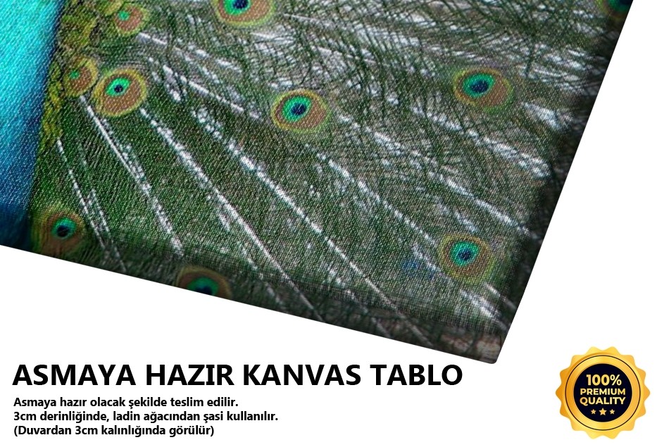 Renk Kartelası -2006 Tablo
