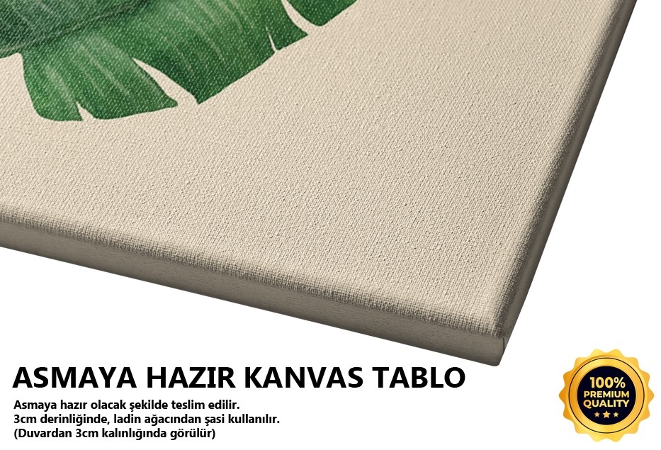 Muz Ağacı Yaprak Tablo