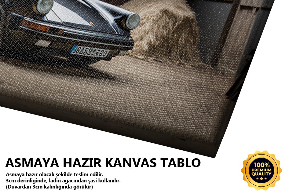 Porsche ve Ahşap Garaj