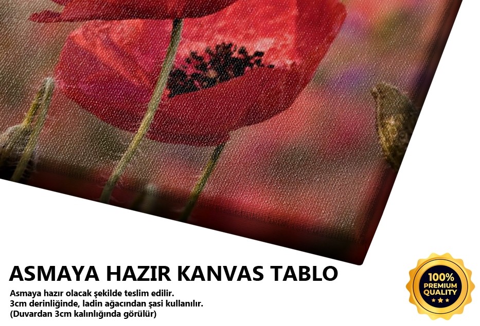 Gelincikler Tablo