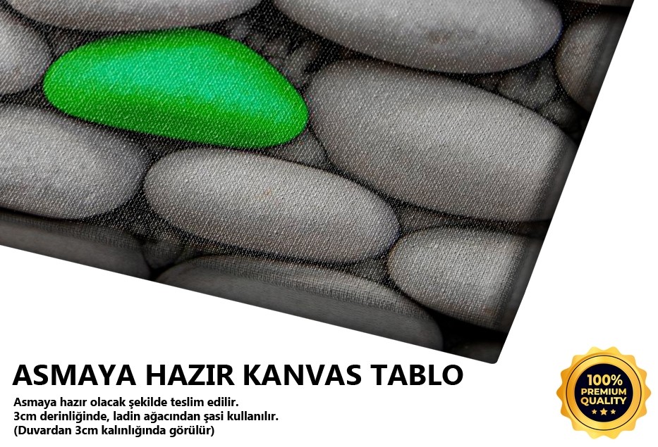 Taşlar Tablo