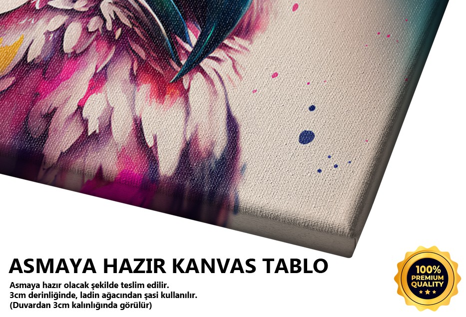Gece Baykuşu - Renkli Bakış