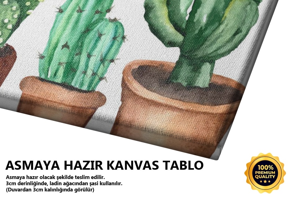 Kaktüsler Yatay Tablo