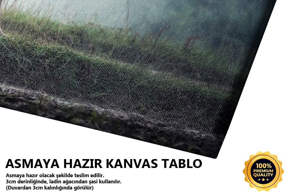 Sazlıklar Ve Yerli Halk Tablo