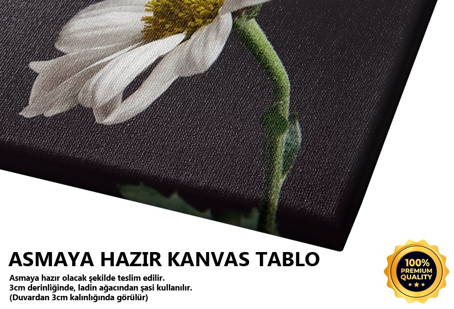 İtiraz Hakkı -2008 Tablo