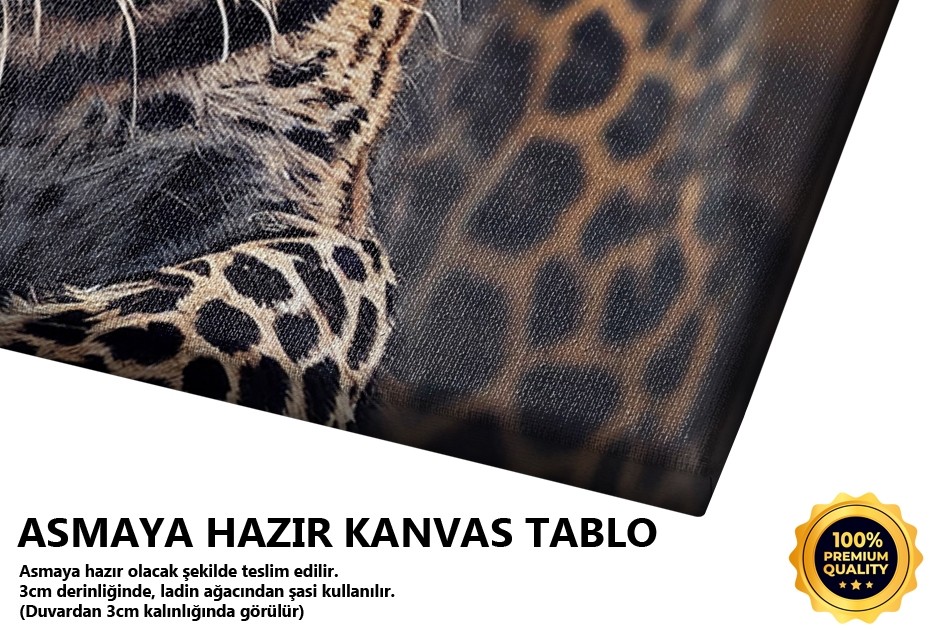 Ormanda Poz Veren Leopar