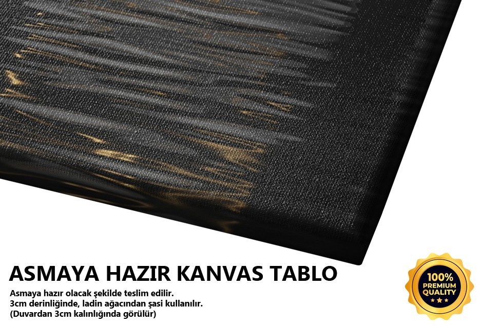 Ay Tutulması Minimal Sanat