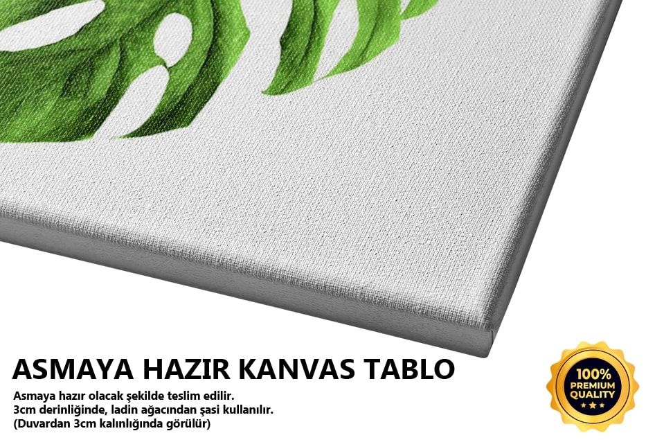 Açık Monstera Tablo
