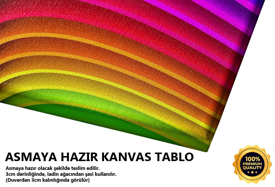 Renkli Halkalar Tablo