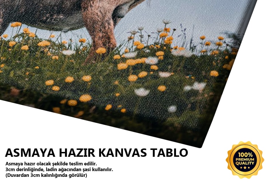 Oğlak Tablo