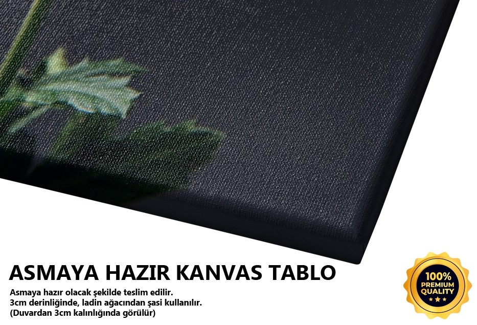 Burası Papatya -2008 Tablo