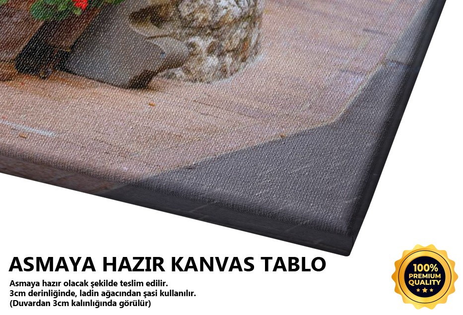 Assisi Sokaklarında Sardunya Çiçekleri,İtalya Tablo