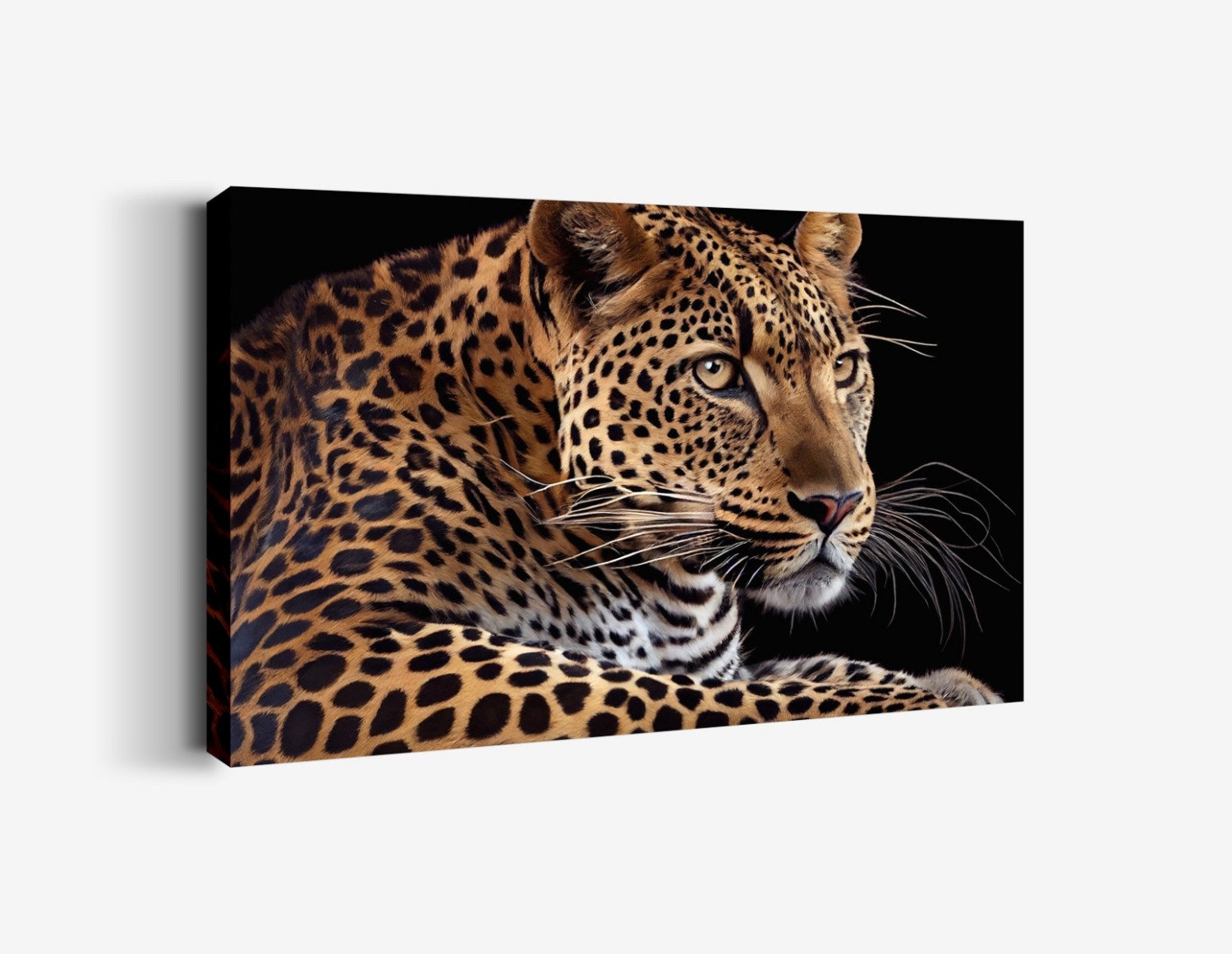 Leopar ve Gökyüzü