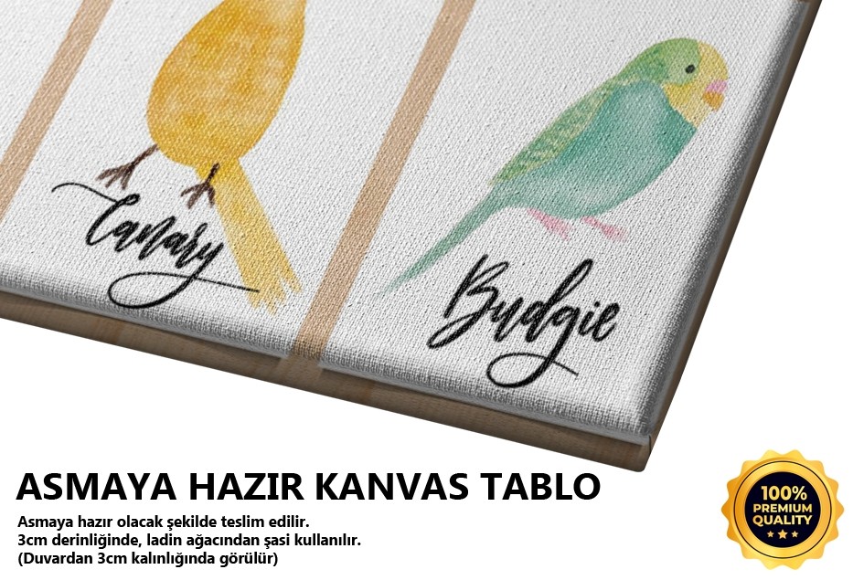 Tropikal Kuş Serisi Kare Tablo