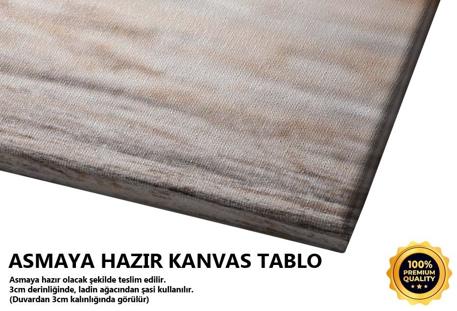 Pembe Güller Tablo