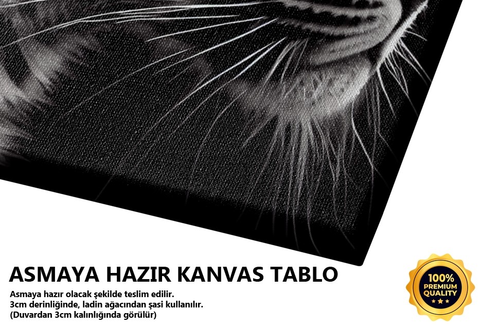 Siyah Beyaz Leopar