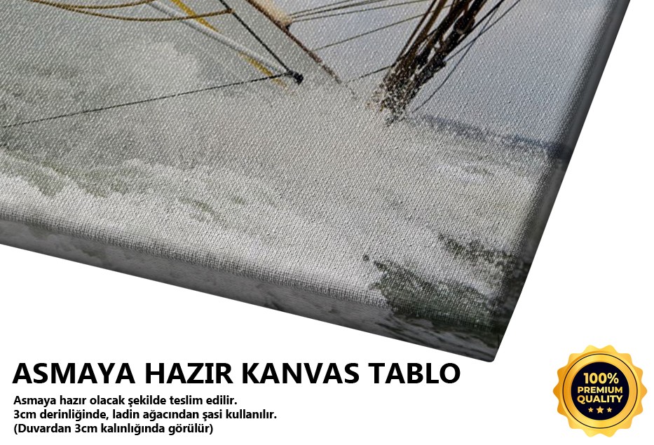 Denizde Yelkenli Tablo
