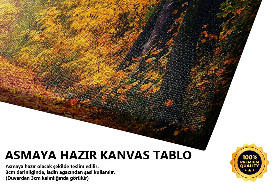 Sonbaharda Sisli Orman Yolu