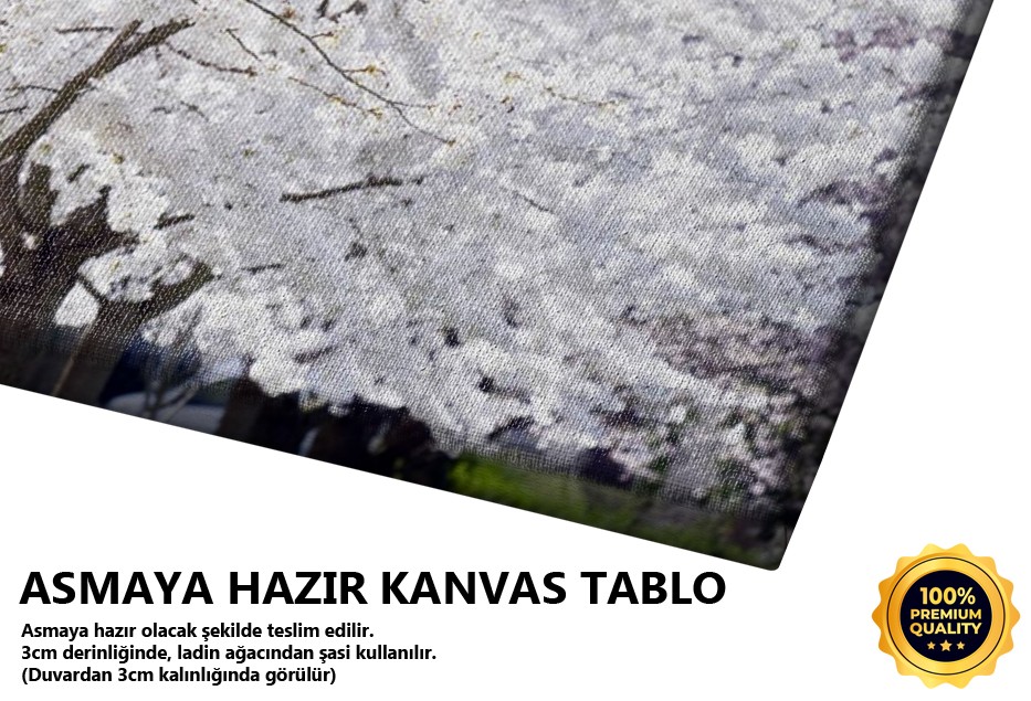 Bahar Çiçekleri Tablo
