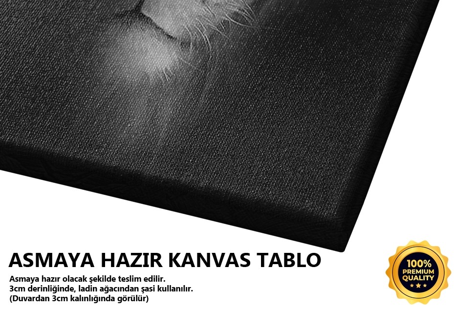 Karanlık Aslan Portresi