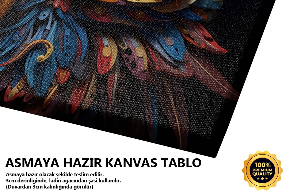 Baykuş Göz Yakın Plan