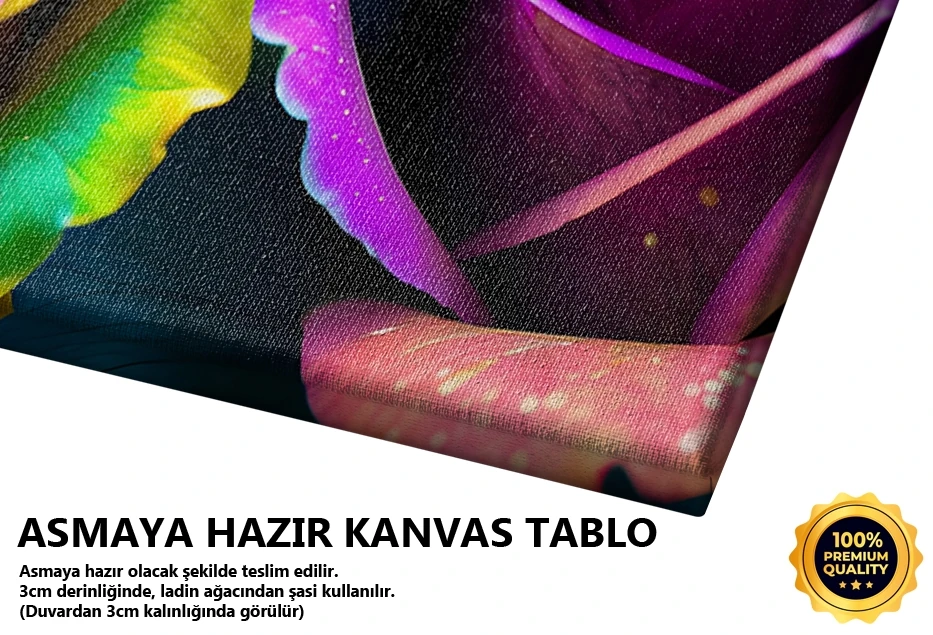 Renkli Gökkuşağı Gülü