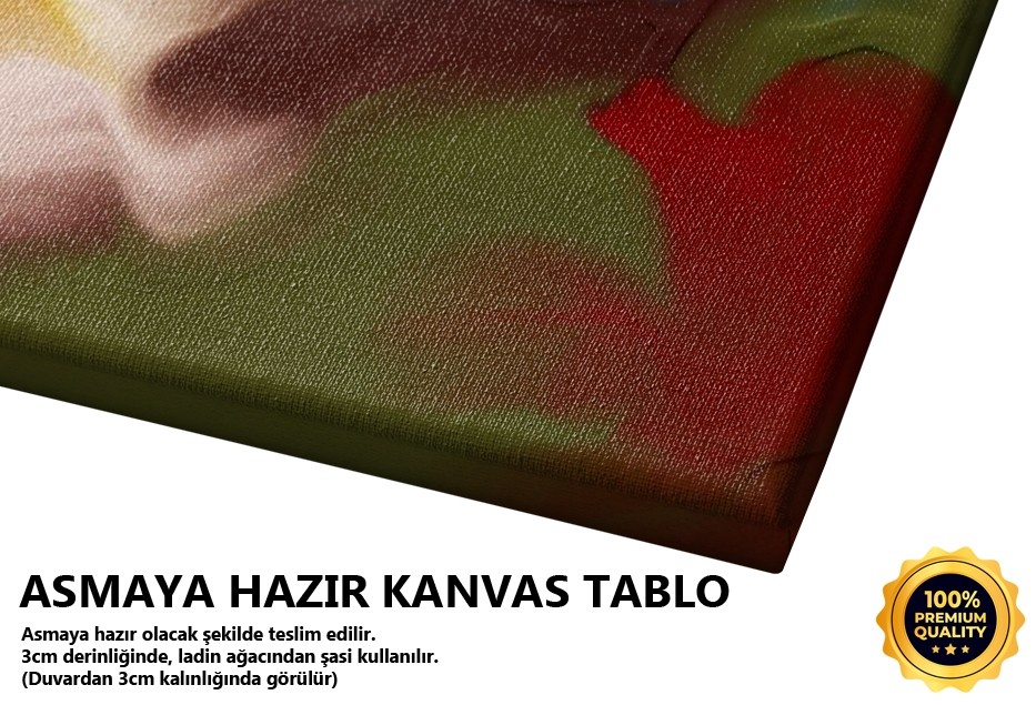 Renklerin Dansı Tablo