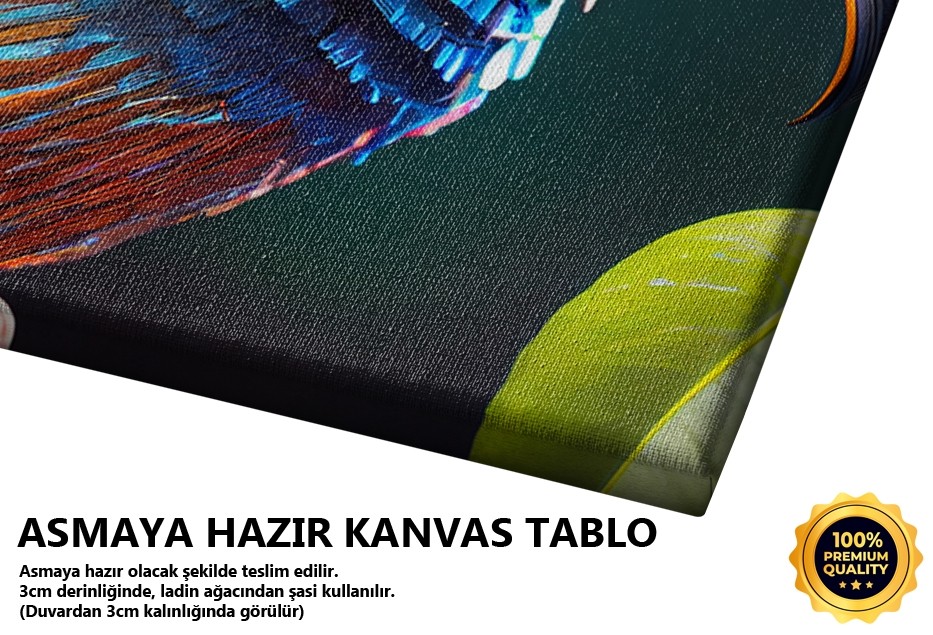Renkli Papağan Portresi