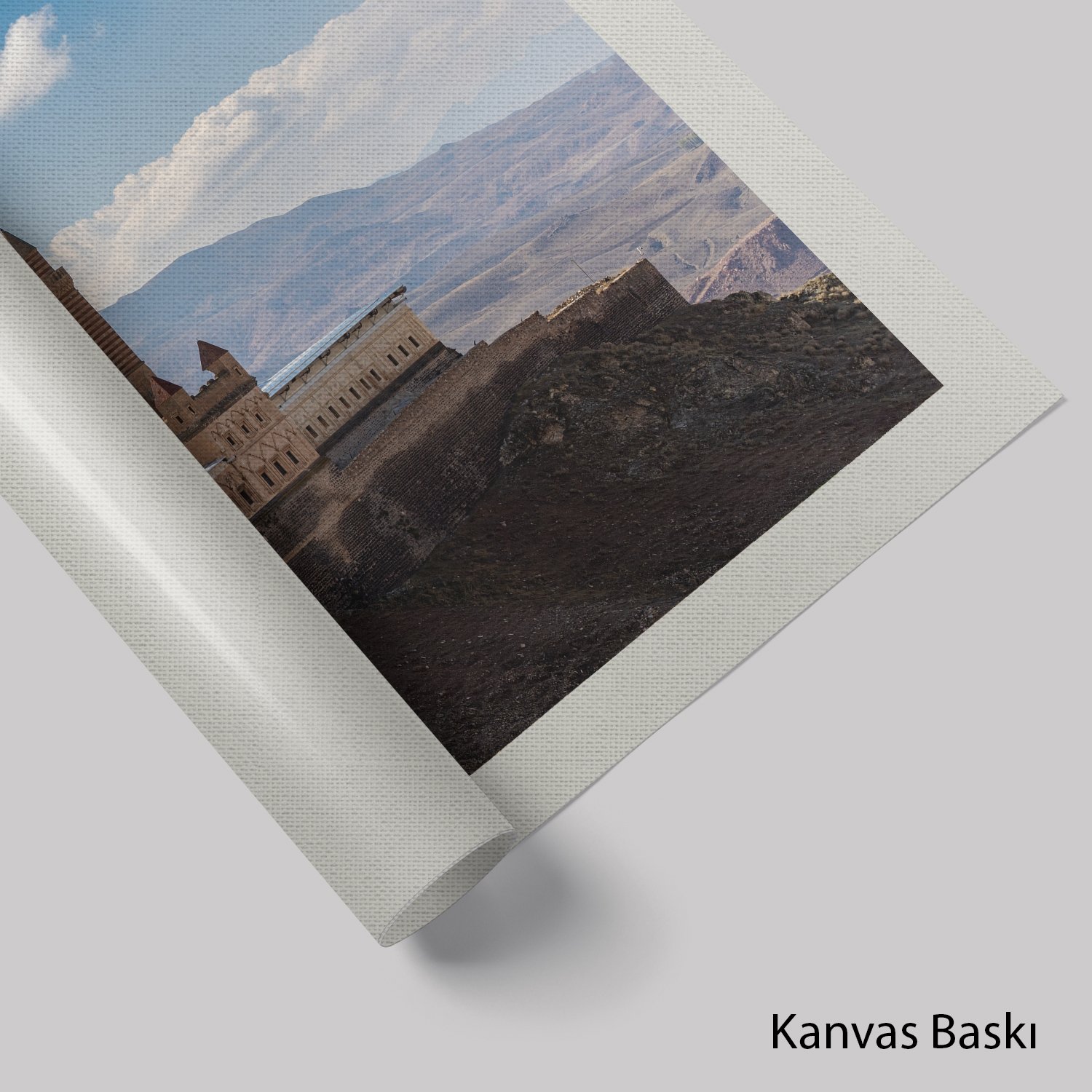 İshakpaşa Sarayı