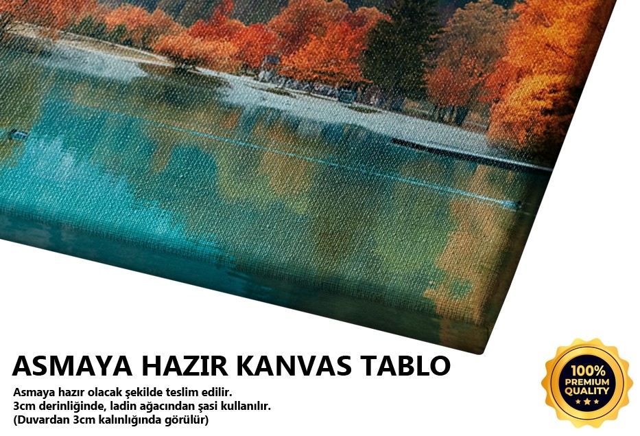 Dağ Manzarası ve Göl