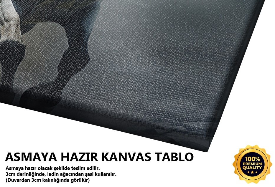 Beyaz At Koşusu