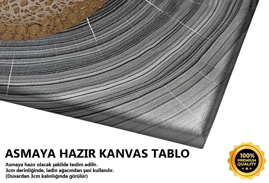 Altın Çember ve Metal Doku