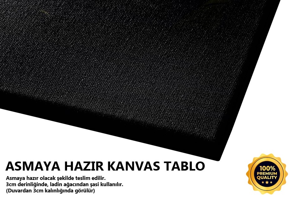 Ravak'tan Minare Ve Kubbe Görünümü Tablo